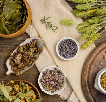 Food Image